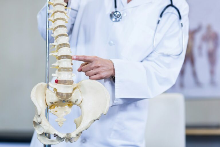 Physiotherapist examining a spine model